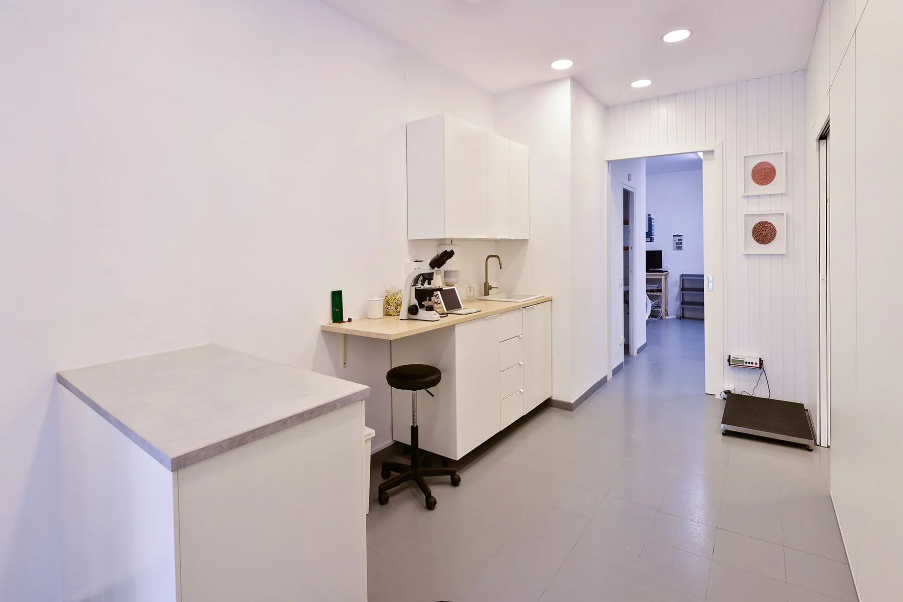 Sala de consulta de la Clínica Veterinària Cadaqués